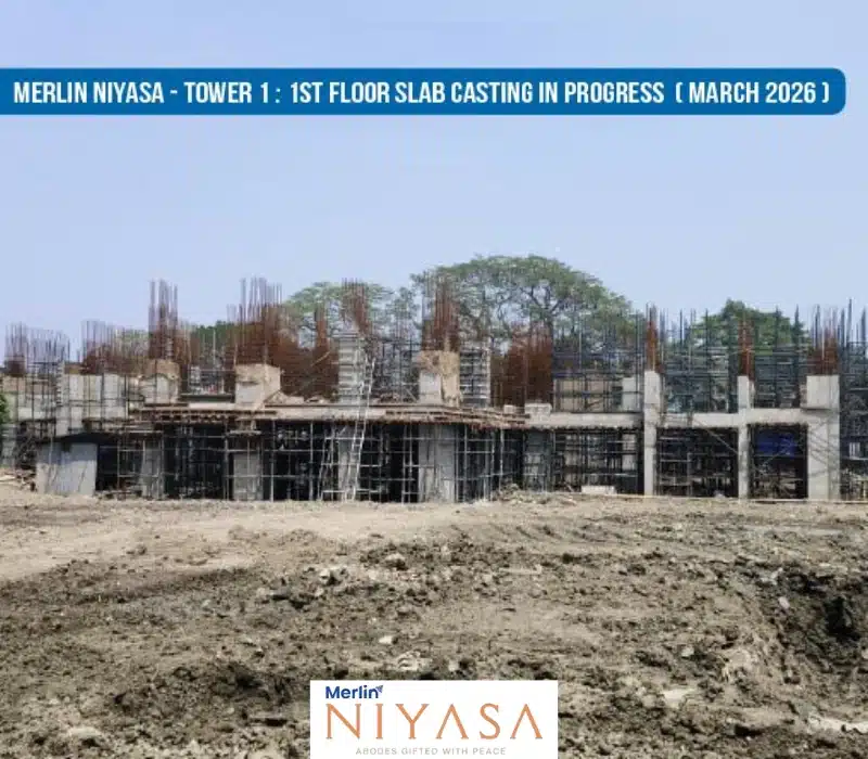 merlin niyasa ruby construction status march 2026